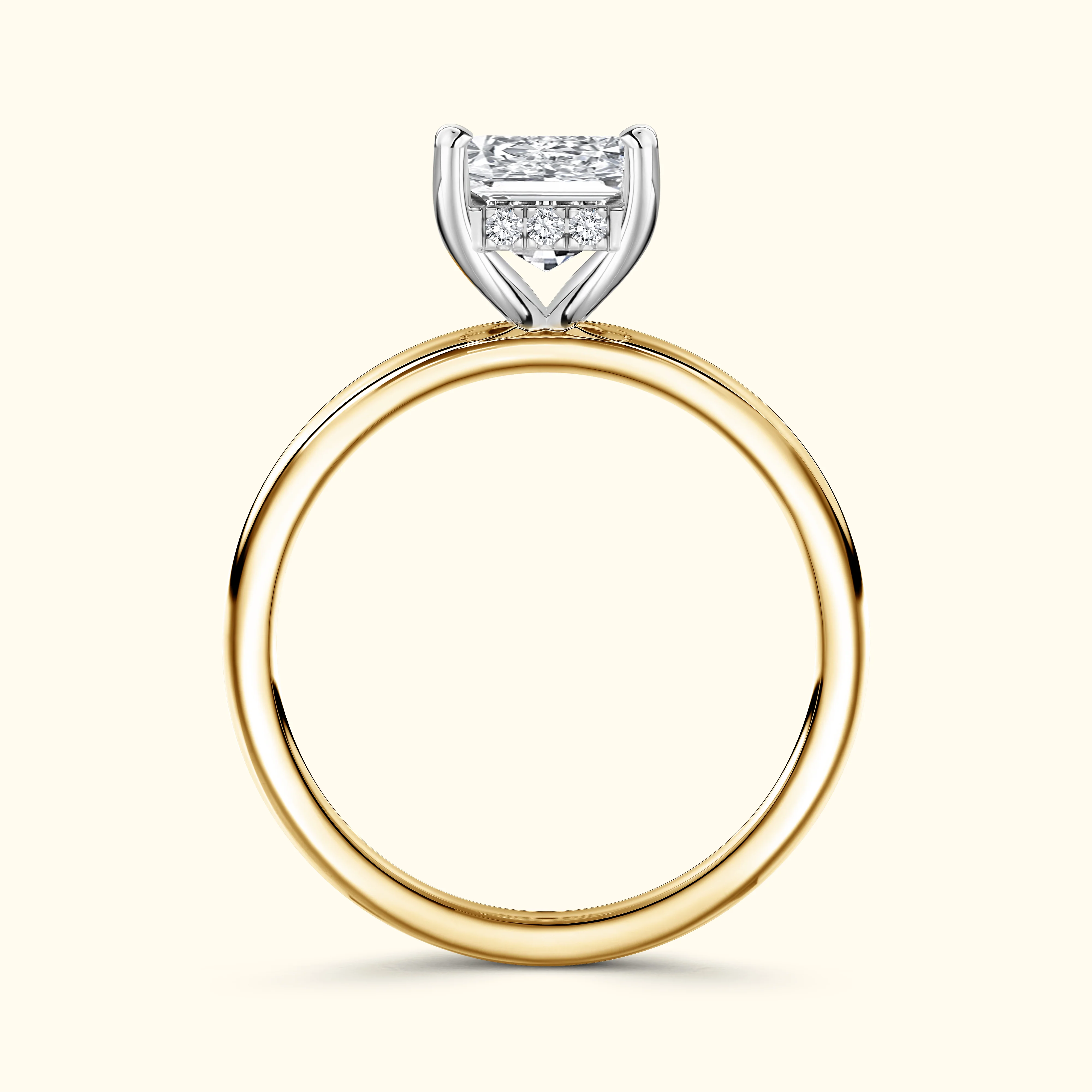 Product image 100